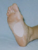 wp309f58bc_0f.jpg