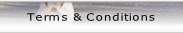 Terms & Conditions.