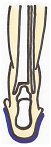 wpc89a485b.png